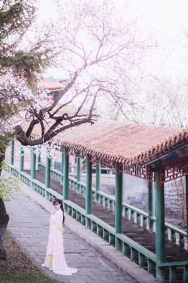 进击的巨人第三季